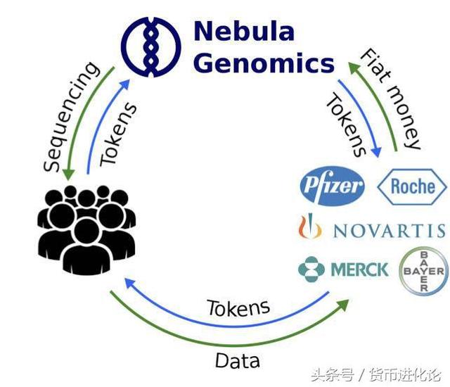 区块链+基因，生命货币的想象空间