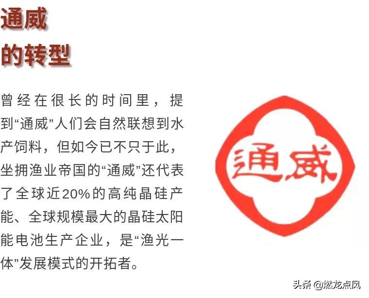 燃龙点凤人物：四川顶级富豪刘汉元和他的通威江湖