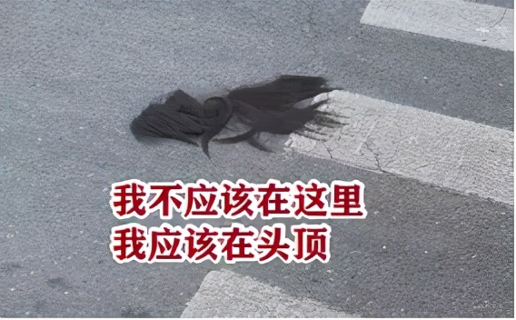 淘宝上的神回复，可比抖音好笑多了