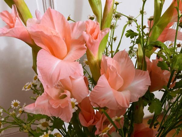 生鲜电商卖花到底靠谱吗？实测报告来了