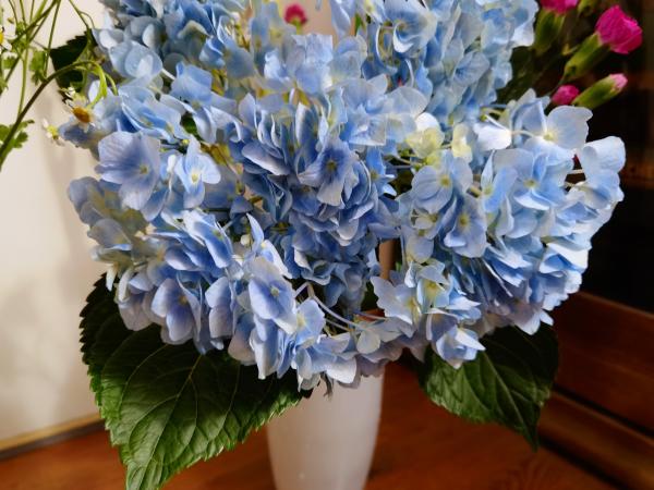 生鲜电商卖花到底靠谱吗？实测报告来了