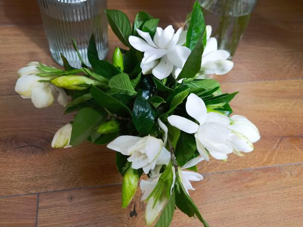 生鲜电商卖花到底靠谱吗？实测报告来了