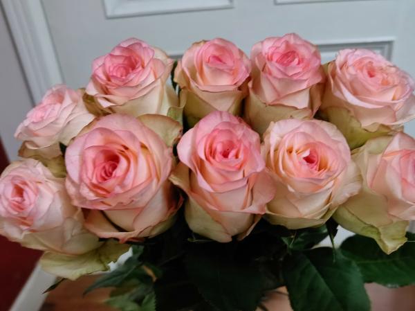 生鲜电商卖花到底靠谱吗？实测报告来了