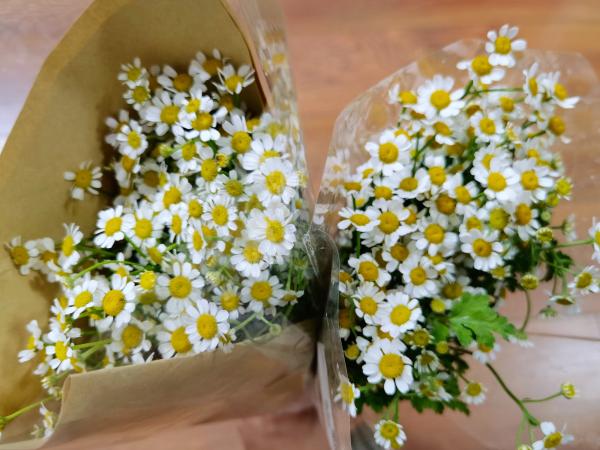 生鲜电商卖花到底靠谱吗？实测报告来了