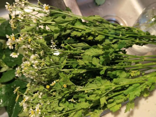 生鲜电商卖花到底靠谱吗？实测报告来了