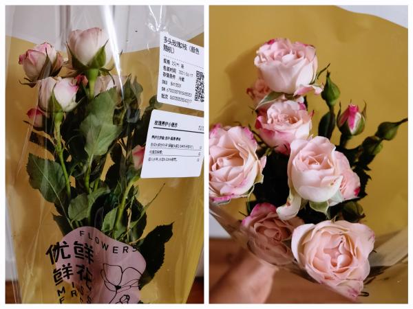 生鲜电商卖花到底靠谱吗？实测报告来了