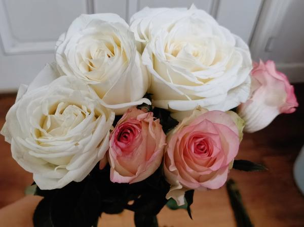 生鲜电商卖花到底靠谱吗？实测报告来了