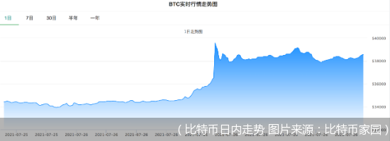 电商巨头接受比特币支付现苗头，78亿元资金灰飞烟灭，全靠大V站台有啥风险？